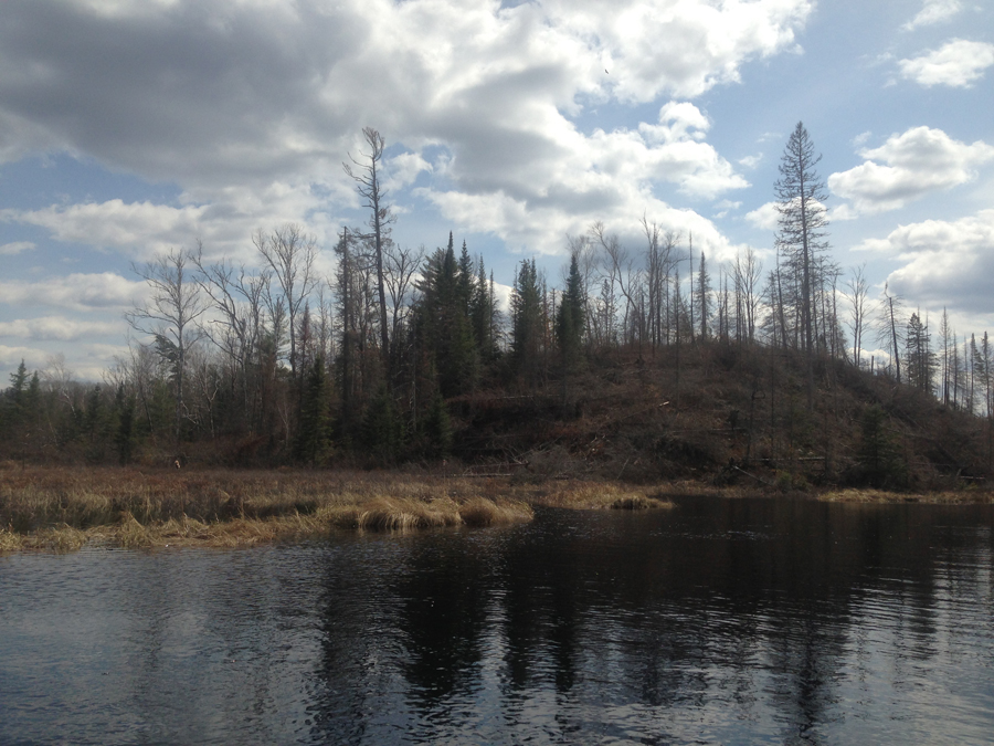 2011 Pagami Creek Fire along Pagami Creek in BWCA